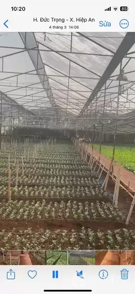 HẠ GIÁ KỊCH SÀN - BÁN GẦN 5000M2 HIỆP AN - GIẢM 5 TỶ