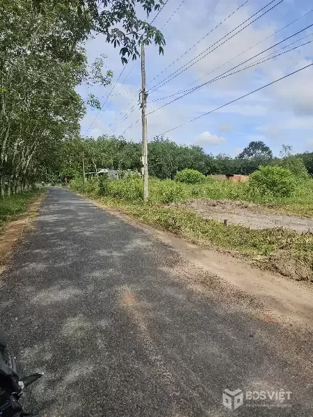 Bán đất Sào ở HCM mới