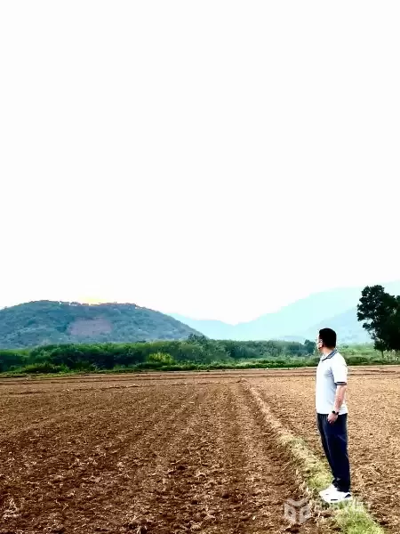 GIA ĐÌNH TÔI CẦN BÁN LÔ ĐẤT RUỘNG CÁCH CHỢ ĐÚNG 300M