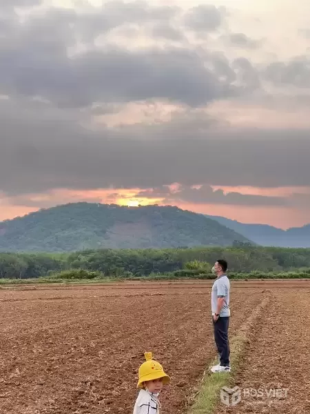 GIA ĐÌNH TÔI CẦN BÁN LÔ ĐẤT RUỘNG CÁCH CHỢ ĐÚNG 300M