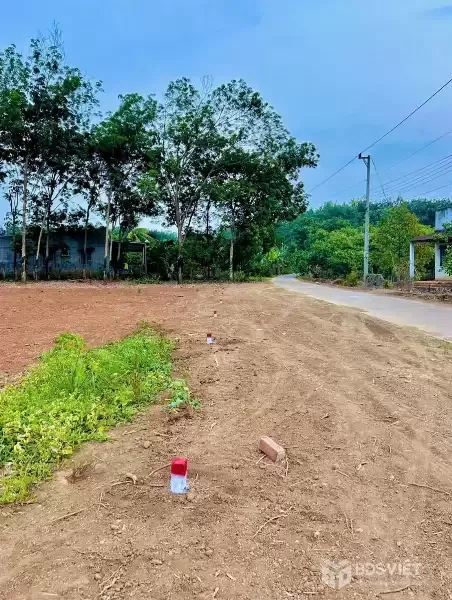 ???? Cơ Hội Sở Hữu Đất Thổ Cư 100m², Long Hà – Phú Riềng, Chỉ Với 290 Triệu ????