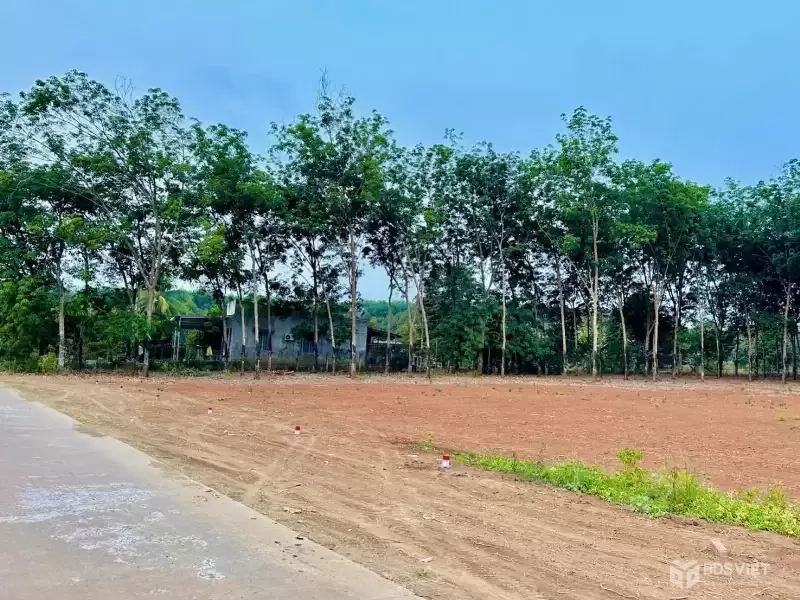 ???? Cơ Hội Sở Hữu Đất Thổ Cư 100m², Long Hà – Phú Riềng, Chỉ Với 290 Triệu ????