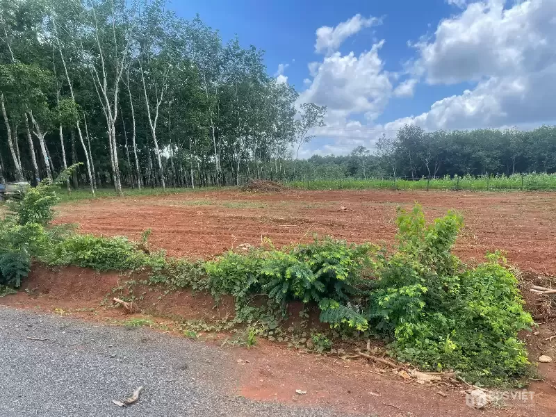 ???? Cơ Hội Đầu Tư Đất Nền Long Hà – Phú Riềng, 370m², Pháp Lý Rõ Ràng, Giá Tốt ????