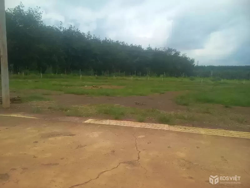 Kẹt tiền cần ra gấp 2 lô đất ngay sát trung tâm chợ