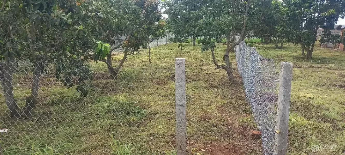 Bán 394m2 đất xã tân hội, đức trọng lâm đồng