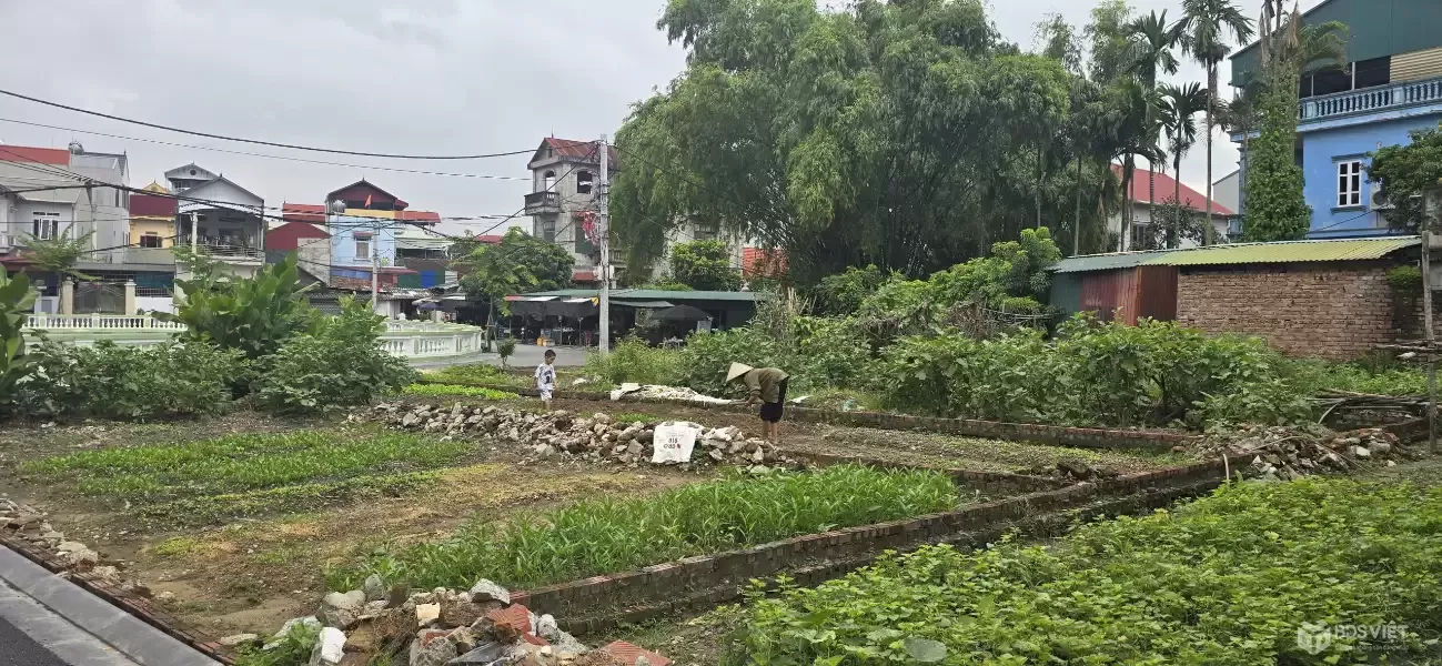 Bán đất mặt Hồ Gia Lộc - Gia Lương, xã Việt Hùng, Đông Anh - Nay là xã Thư Lâm, Thành phố Hà Nội, 91m2, miễn TG