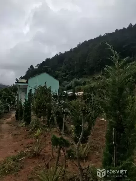 Chính chủ cần bán 1000m2 nn Tà Nung Đà Lạt - 1.3 tỷ