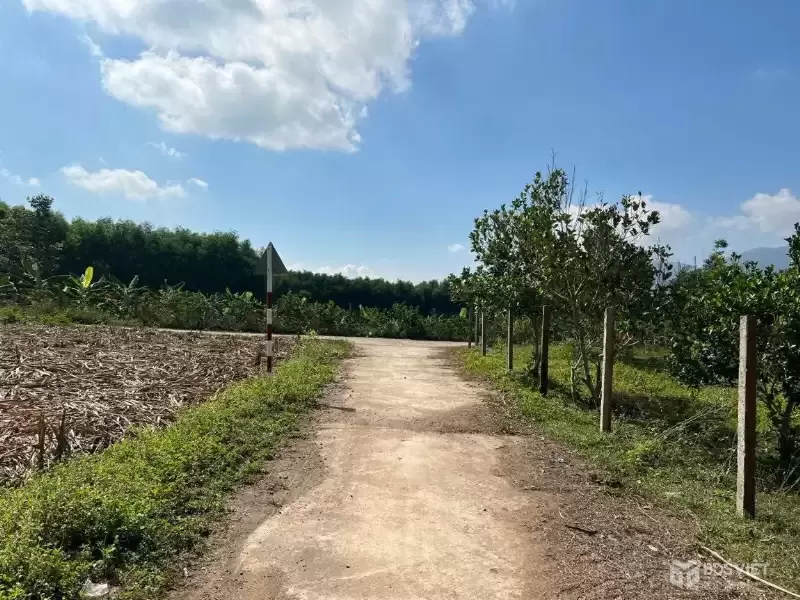 Bán đất Diên Tân ngang 35m  giá chỉ 1tỷ4