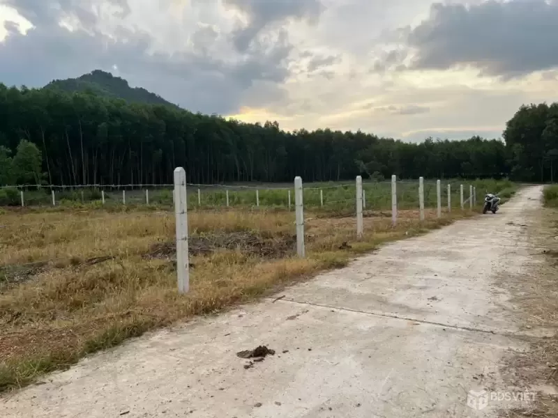 BÁN LÔ ĐẤT VƯỜN  2 MẶT TIỀN BÁM ĐƯỜNG HƠN 80M GIÁ ĐẦU TƯ