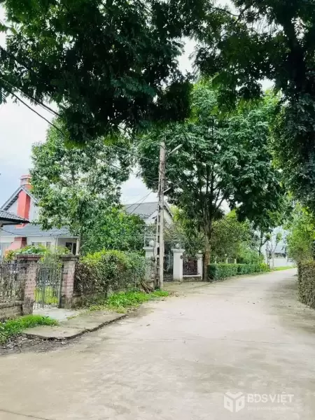 CẦN BÁN  234M , CƯ YÊN, LƯƠNG SƠN - HÒA BINH ( cũ ) nay là PHÚ THỌ