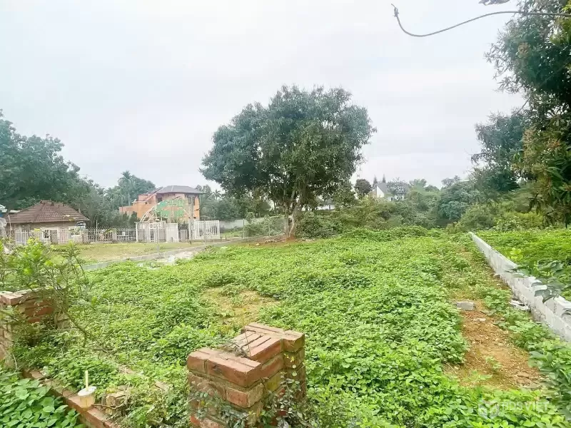 CẦN BÁN  234M , CƯ YÊN, LƯƠNG SƠN - HÒA BINH ( cũ ) nay là PHÚ THỌ