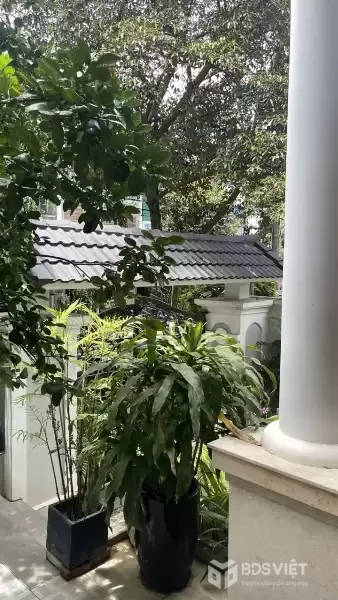 44 - Nguyễn Đỗ Mục - Biệt Thự 3 Tầng Gần Thăng Long - Khuê Trung - Cẩm Lệ - Đường 7m5 giá Bán 13,5 tỷ