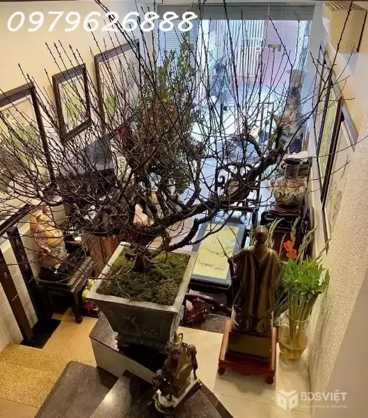 CƠ HỘI VÀNG – NHÀ PHỐ THÁI HÀ – CỰC HIẾM - Ô TÔ ĐỖ CỬA – KINH DOANH ĐỈNH CAO - 53x5T
