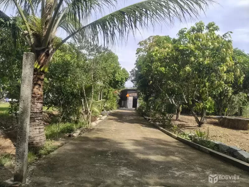 Cần bán đất thổ cư Diên Tân_Diên Khánh_Khánh hoà