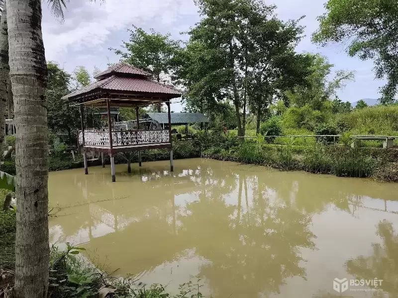 Cần bán lô đất Diên Lạc 121,7m sát bên đường nhựa Vườn Thành và đường Lạc Bình đang mở rộng sắp hoàn thiện
