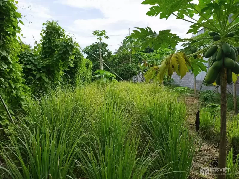 Cần bán lô đất Diên Lạc 121,7m sát bên đường nhựa Vườn Thành và đường Lạc Bình đang mở rộng sắp hoàn thiện