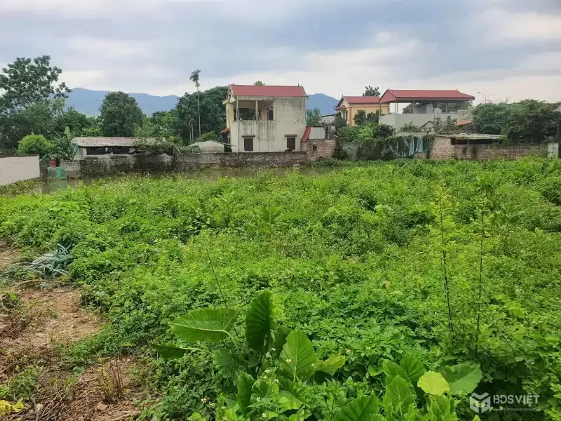 Bán nhanh đất nghỉ dưỡng Nhuận Trạch , Lương Sơn , Hòa Bình có ao cách Hà Nội 45p di chuyển