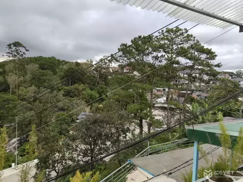 Bán Homestay Dalat p5 Mini Giá 1 Tỷ 650