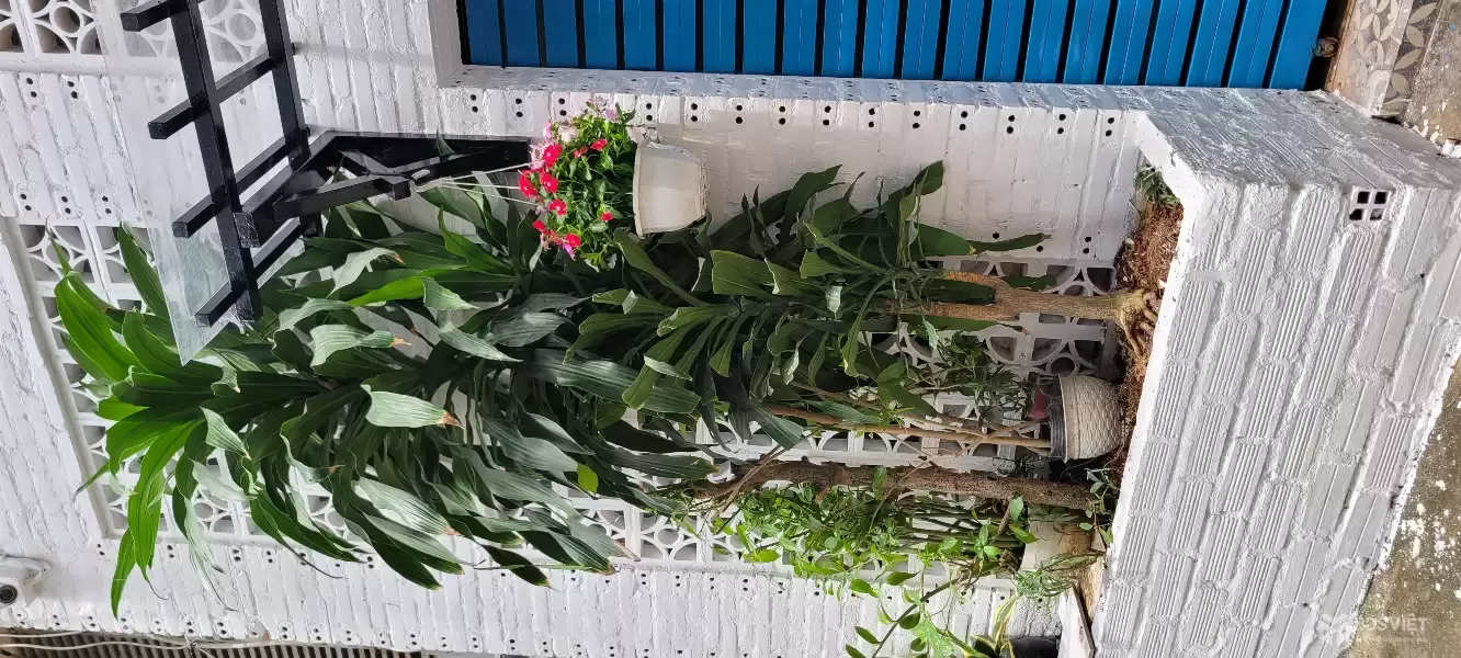 BÁN NHÀ ĐƯỜNG NGUYỄN HỮU TIẾN – P.TÂY THẠNH, TÂN PHÚ