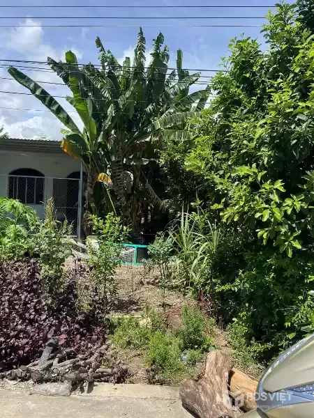 Bán lô đất mặt tiền đường Huỳnh Thúc Kháng, xã Diên An - Diên Khánh cách Võ Nguyên Giáp 500m