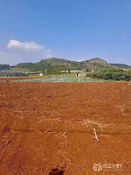 GIÁ 1 TỶ 080 TRIỆU - LÔ ĐẤT ĐẸP An Ninh, Xã Liên Hiệp, Đức Trọng, Lâm Đồng