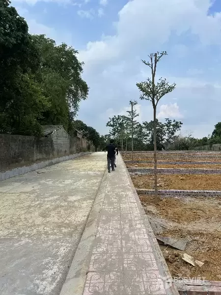 RA MẮT 14 LÔ ĐẤT MỚI – PHÚ CÁT, QUỐC OAI, HÀ NỘI