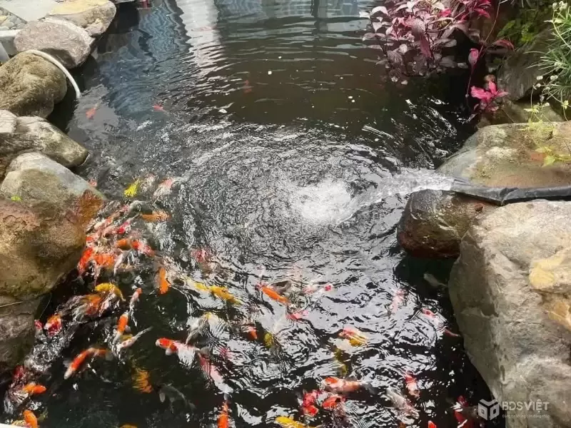 DUY NHẤT 01 CĂN NHÀ VƯỜN CÓ HỒ CÁ KOI SIÊU XINH Ở DIÊN TOÀN - GẦN ĐƯỜNG VÕ NGUYÊN GIÁP - DIÊN KHÁNH