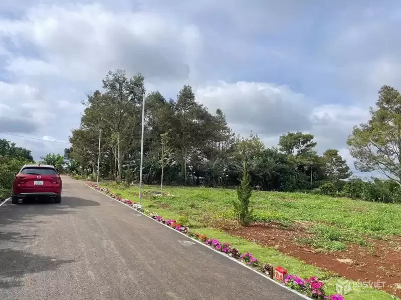 Bán đất xã liên hiệp đức trọng 970 triệu- sổ riêng đất xây dựng