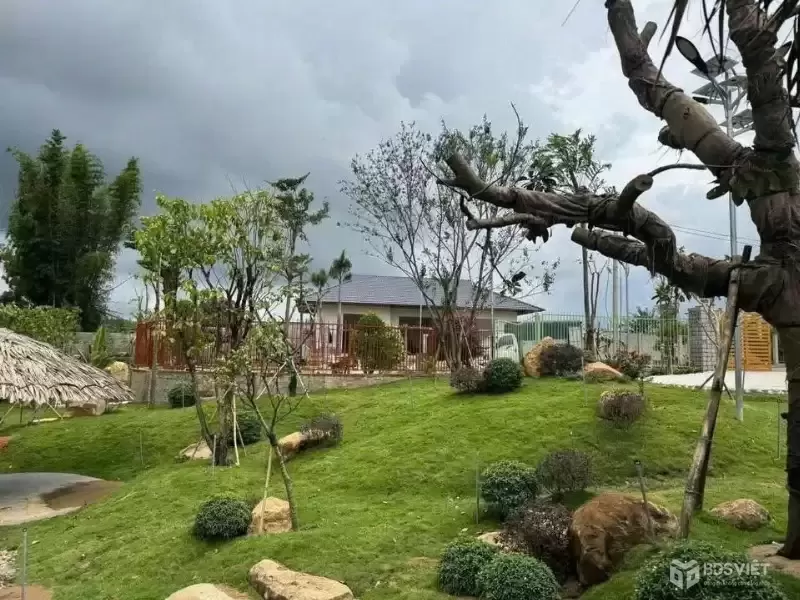 BÁN ĐẤT – BÁN NHÀ KHU DÂN CƯ MAI ANH ĐÀO – PHÚ HỘI – ĐỨC TRỌNG