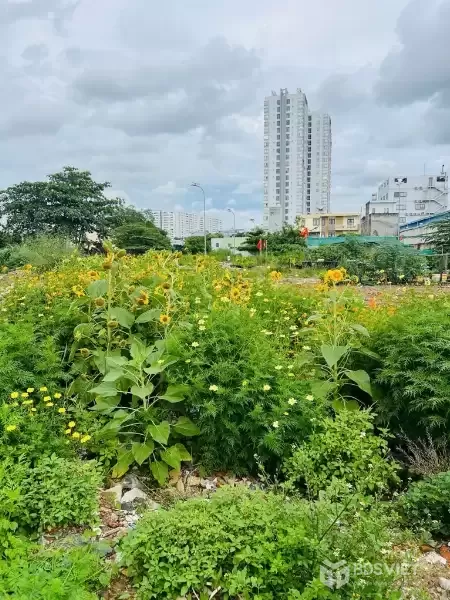 Bán đất đẹp 50m² (4x13), hẻm xe tải 7m An Dương Vương, gần Võ Văn Kiệt, chỉ hơn 4 tỷ