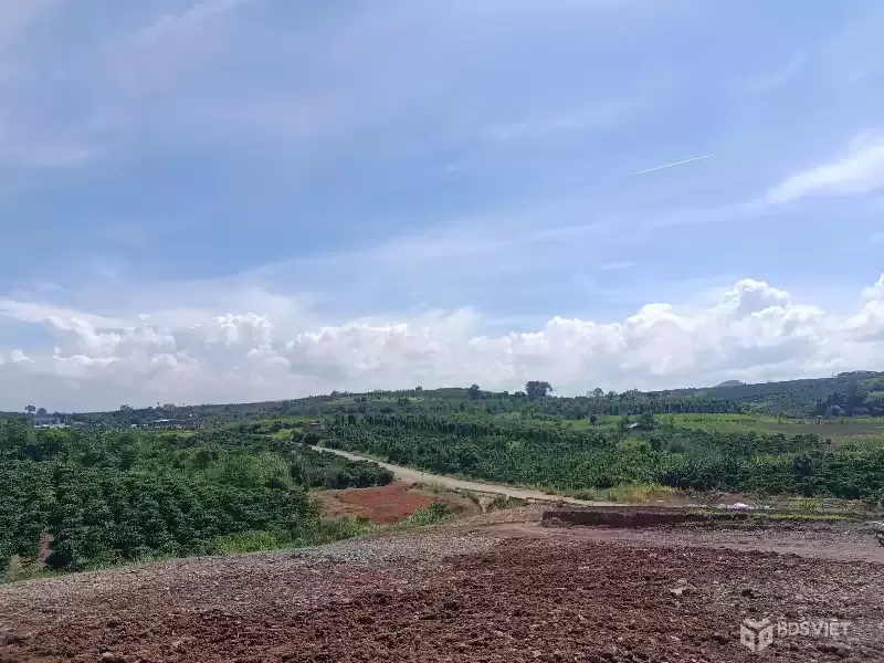 BÁN 1000m² ĐẤT ĐẸP – GIÁ 630 TRIỆU - Vị trí: Tân Hà, Lâm Hà, Lâm Đồng