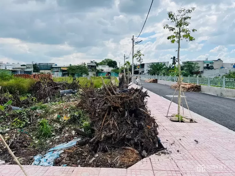 Đất Mặt Tiền Thạnh Xuân 25 – Vị Trí Chiến Lược, Tiềm Năng Tăng Giá Mạnh