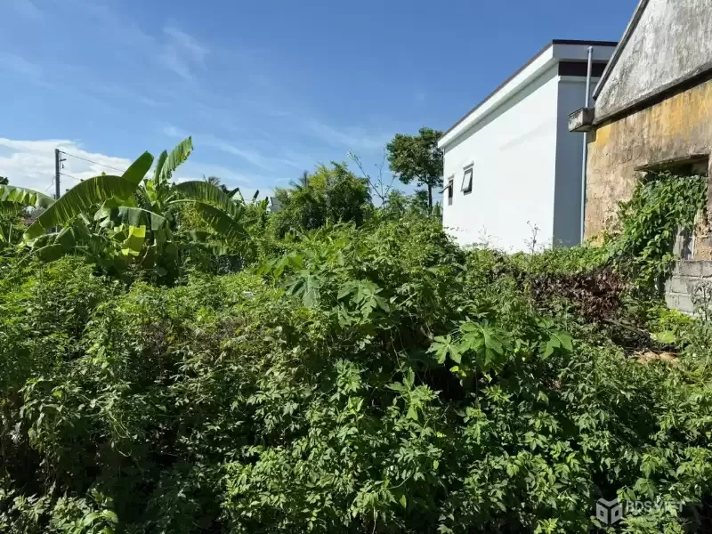 Đất hiếm trung tâm Bàng La – giá chỉ hơn 8xx triệu, đầu tư cực sáng!  ZALO 0567 222 555