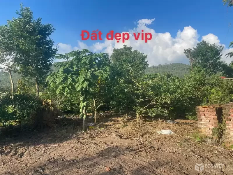 MỞ BÁN LÔ ĐẤT F0 SIÊU PHẨM , ĐẤT NGHỈ DƯỠNG TẠI ĐẠI ĐÌNH – TAM ĐẢO VĨNH PHÚC