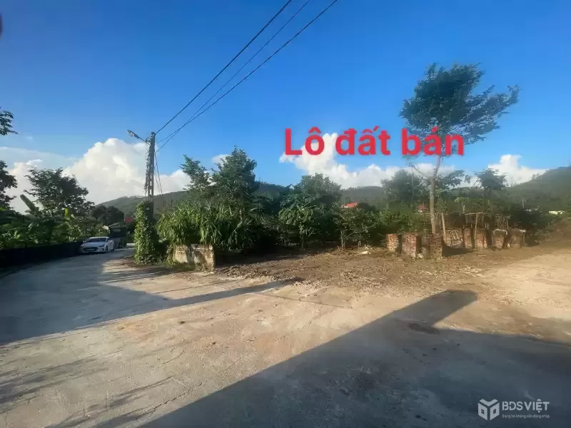 MỞ BÁN LÔ ĐẤT F0 SIÊU PHẨM , ĐẤT NGHỈ DƯỠNG TẠI ĐẠI ĐÌNH – TAM ĐẢO VĨNH PHÚC