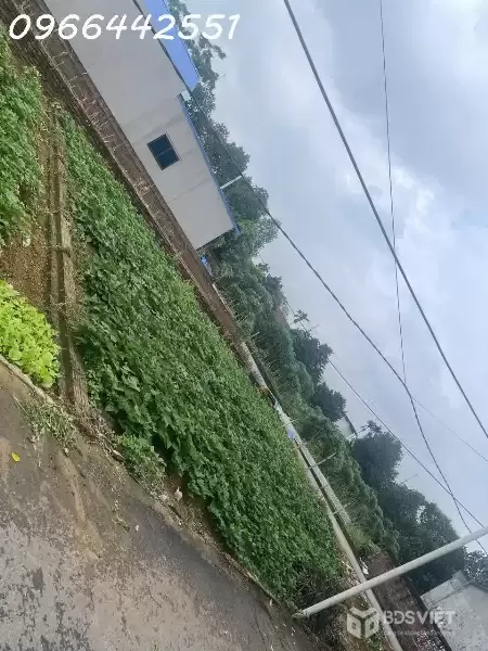 Bán lô đất giá rẻ thôn 3 Phú Cát sát Nhà máy In tiền, ĐL Thăng Long 82.5m nhỉnh 3tỷ