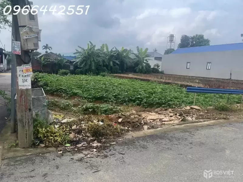 Bán lô đất giá rẻ thôn 3 Phú Cát sát Nhà máy In tiền, ĐL Thăng Long 82.5m nhỉnh 3tỷ