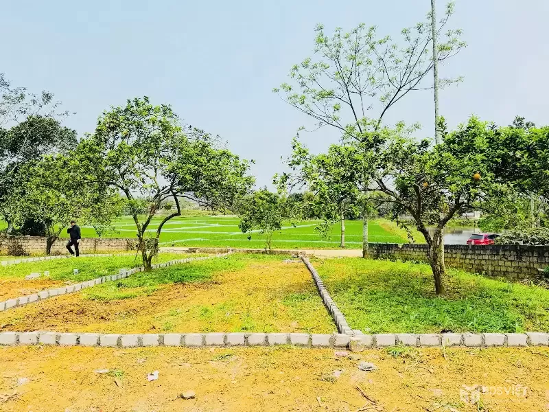 SIÊU PHẨM ĐẤT ĐẸP THANH CAO – LƯƠNG SƠN – HÒA BÌNH