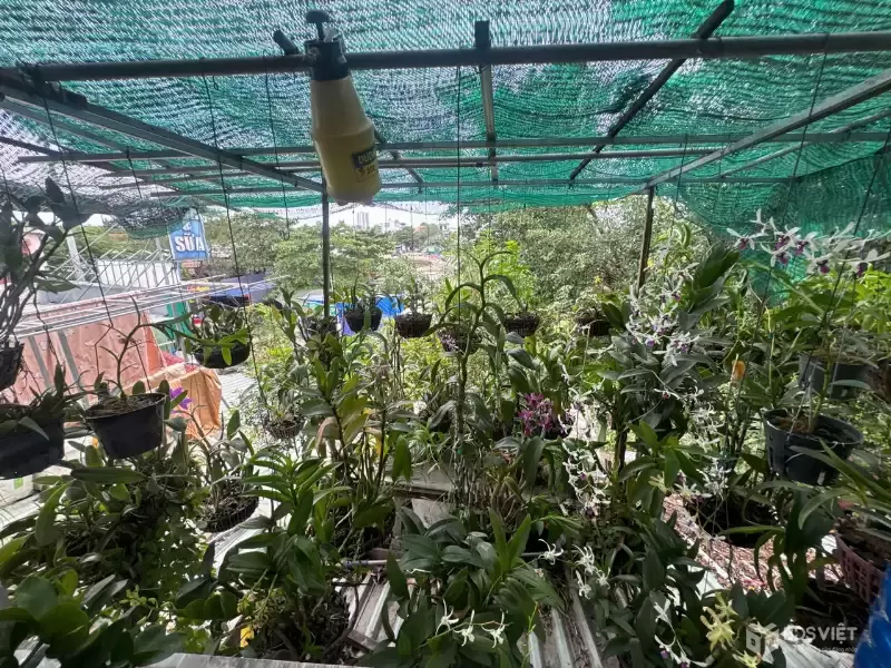 MẶT TIỀN KINH DOANH TRUNG TÂM DĨ AN – DÃY TRỌ 2 TẦNG NGANG 10M – THU 70TR/THÁNG – 416M² FULL THỔ CƯ