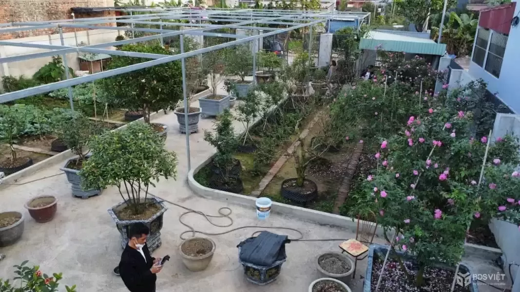 Siêu phẩm đất 642m² vườn hồng – trung tâm Tân Thành, Dương Kinh – giá chỉ hơn 2x triệu/m² – ZALO 0567 222 555