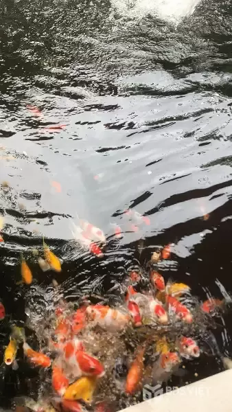 Bán Nhà Diên Toàn-Diên Khánh
-DT: 188m2 ngang 8m nở hậu
-Hướng Bắc
-Hiện trạng đường 6m ô tô né nhau
-Nhà gồm 1PN-2WC- Khách-Bếp...
-Giá bán: 3,3tỷ có TL