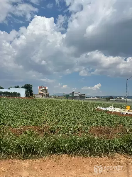 BÁN 505m2 ĐẤT TỔ 32 THỊ TRẤN LIÊN NGHĨA ĐỨC TRỌNG - LÂM ĐỒNG