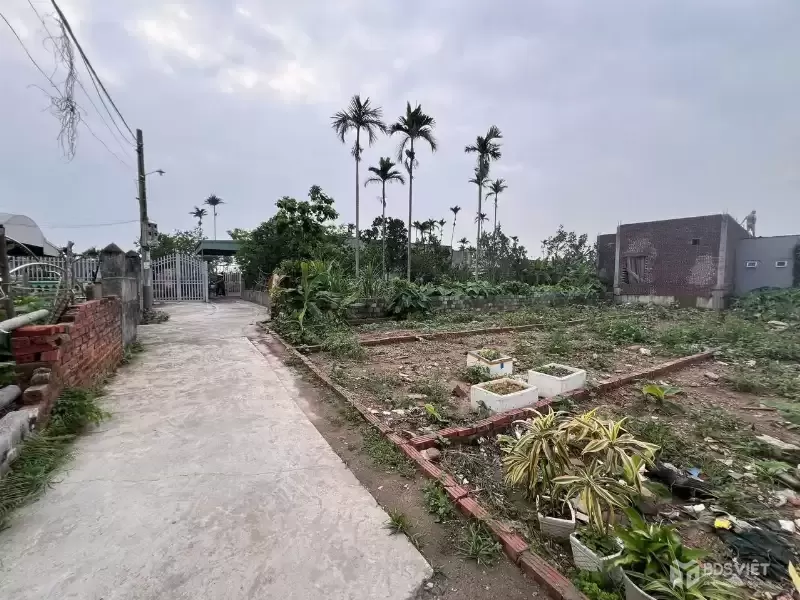 BÁN LÔ ĐẤT TUYẾN 2 HÒA NGHĨA – GẦN VINHOMES DƯƠNG KINH – GIÁ CHỈ 23,x TRIỆU/M²! ZALO 0567 222 555