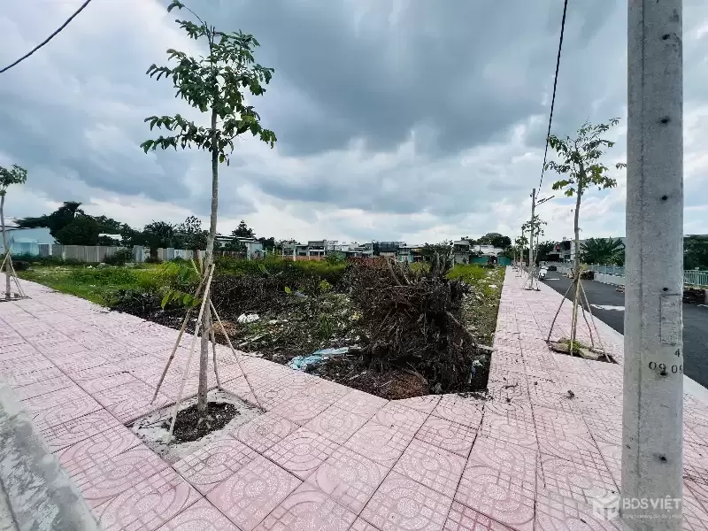 CƠ HỘI ĐẦU TƯ SINH LỜI CAO – ĐẤT NỀN MẶT TIỀN THẠNH XUÂN 25, Q12