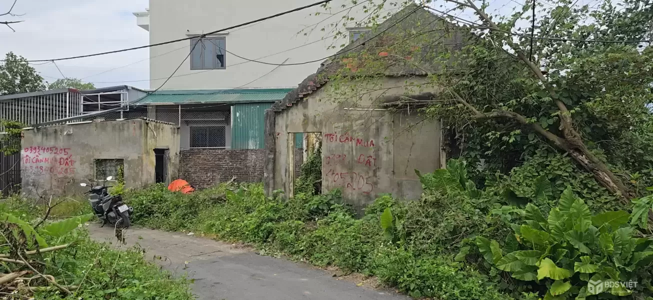 Bán đất đường Phú Mỹ, phường Biên Giang, quận Hà Đông (nay là phường Chương Mỹ), Hà Nội.