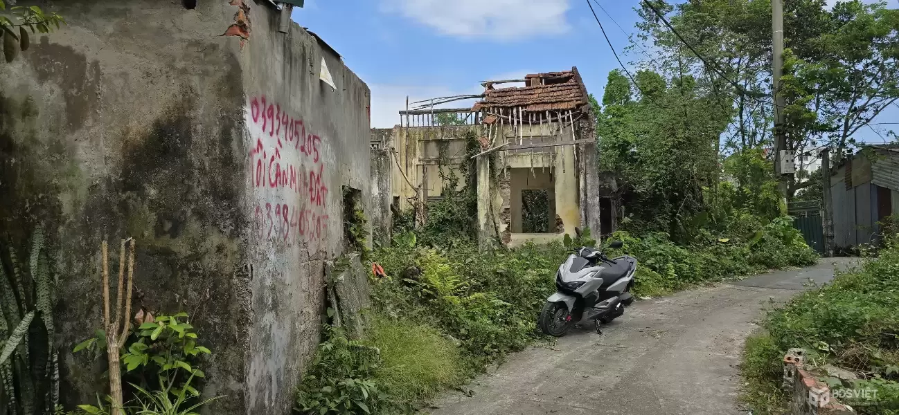 Bán đất đường Phú Mỹ, phường Biên Giang, quận Hà Đông (nay là phường Chương Mỹ), Hà Nội.