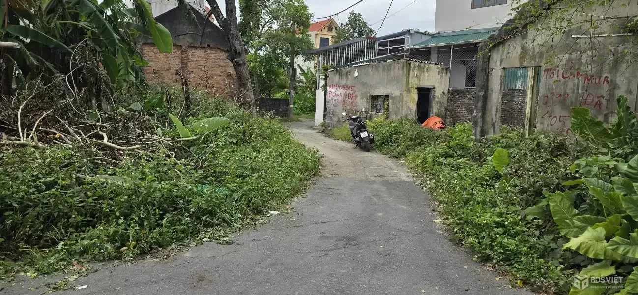 Bán đất đường Phú Mỹ, phường Biên Giang, quận Hà Đông (nay là phường Chương Mỹ), Hà Nội.