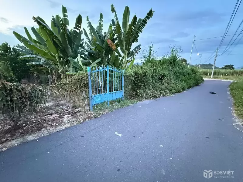 án lô đất 3 mặt tiền đường Thành Hồ - Diên Phước - Diên Khách 
- Dt: 534m2( 70m2 thổ) 
- Mặt tiền đường nhựa Thành Hồ - đường oto thoải mái - thông ra bờ kè sông cái. 
- Vị trí đất tiềm năng phù hợp đầu tư & an cư , làm farm ....
- Giá bán: 3ty1