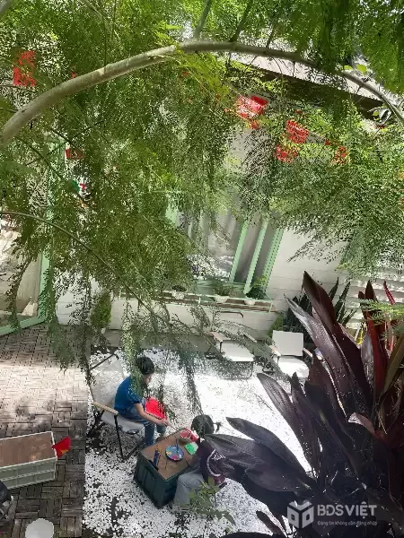 Cho thuê homestay Hàn Thuyên Phường 5 Đà Lạt giá 11tr