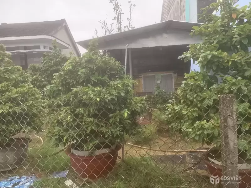 Lô đất mặt tiền Nguyễn Tất Thành Hội An 100m² đẹp, gần Phố Cổ, chỉ 4,3ty